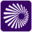 Copperleaf logo